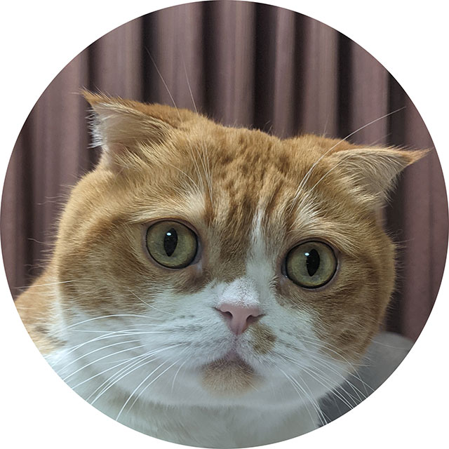 井ノ口裕子